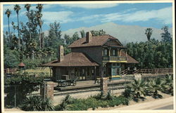Los Angeles State and County Arboretum Postcard