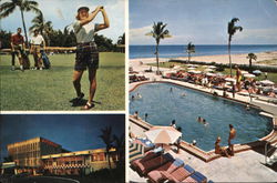 Attache' Resort Motel Hollywood, FL Postcard Postcard Postcard