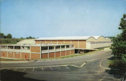 New Physical Education and Intramural Building, North Carolina State College Postcard