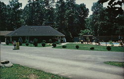 Safari Campground Postcard