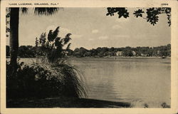 Lake Luzerne, View Across the Water Orlando, FL Postcard Postcard Postcard