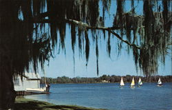 Boat House - Rollins College Postcard
