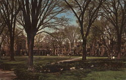 Cook Law Quadrangle Postcard