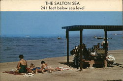 The Salton Sea, 241 feet below sea level Postcard