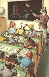 Dressed Cats in Classroom Dressed Cats in Classroom
