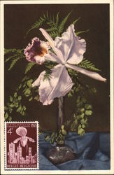 Cattleye Labiata Autumnalis - Orchidee Belgium Benelux Countries Postcard Postcard Postcard