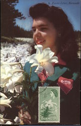 Easter Lillies, Bermuda Flowers Postcard Postcard Postcard