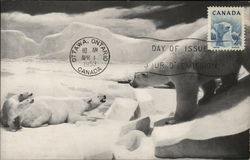 Chicago Natural History Museum - Polar Bear Postcard