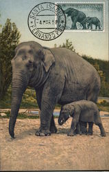Pair of Elephants Pair of Elephants