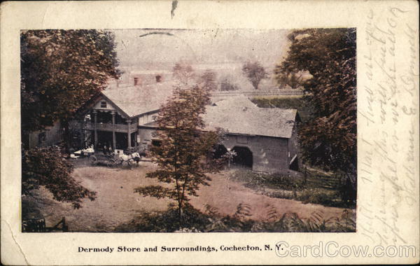 Dermody Store and Surroundings Cochecton New York