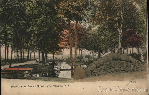 Brook Scene, Branch Brook Park Newark New Jersey