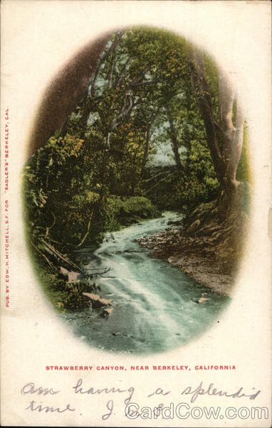 Strawberry Canyon Berkeley California