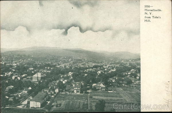View from Tobe's Hill Hornellsville New York