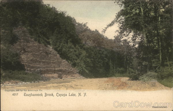 Taughannock Brook, Cayuga Lake New York