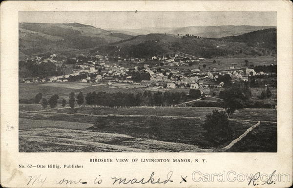 Birdseye View of Livingston Manor New York