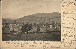 Bird's-Eye View of Town in Sullivan Co. Postcard