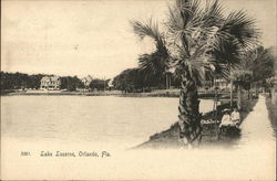 Lake Lucerne Orlando, FL Postcard Postcard Postcard