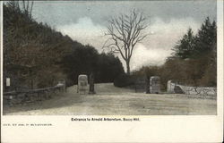 Entrance to Arnold Arboretum, Buzzy Hill Postcard