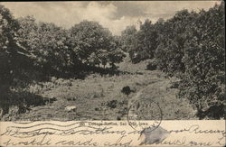 Cottage Ravine Postcard