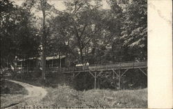 Bridge Scene At Naperville Park Postcard