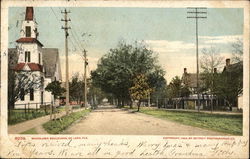 Woodlawn Boulevard Postcard