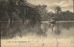 On the Caloosahatchee River Postcard