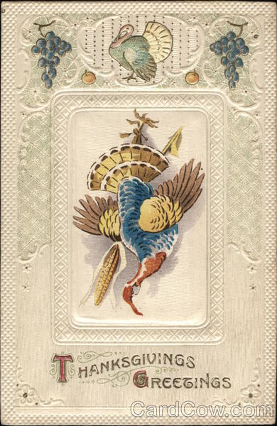 Thanksgivings Greetings Turkeys