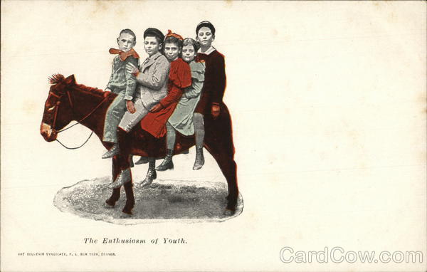 The Enthusiasm of Youth Donkeys