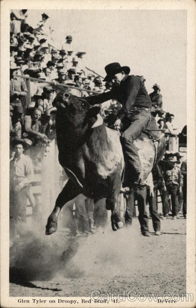 Glen Tyler on Droopy, Red Bluff 1941 Rodeos