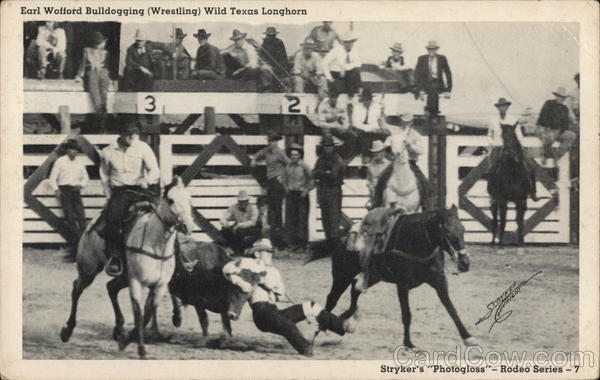 Earl Wofford Bulldogging (Wrestling) - Wild Texas Longhorn