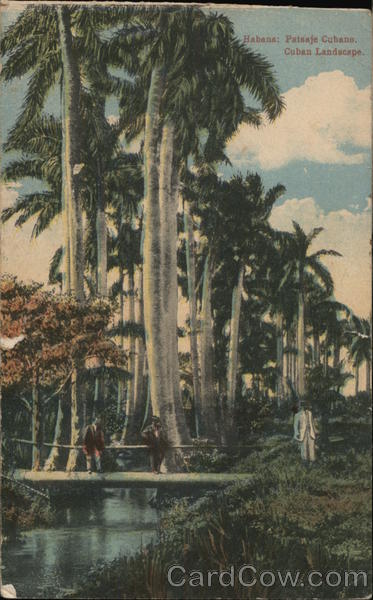 Cuban Landscape