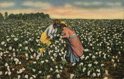 Romeo and Juliet in Cotton Field Black Americana Postcard Postcard Postcard