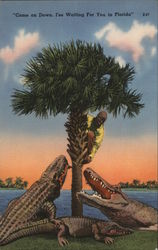 "Come on Down. I'se Waiting For You in Florida "Come on Down. I'se Waiting For You in Florida