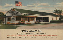 Wise Fruit Co. Sarasota, FL Postcard Postcard Postcard