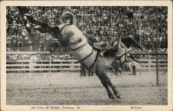 Joe Luis off Buddy, Fortuna 1941 Rodeos Postcard Postcard Postcard