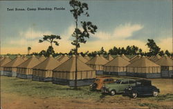 Tent Scene, Camp Blanding Starke, FL Postcard Postcard Postcard