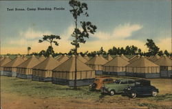 Tent Scene, Camp Blanding Postcard