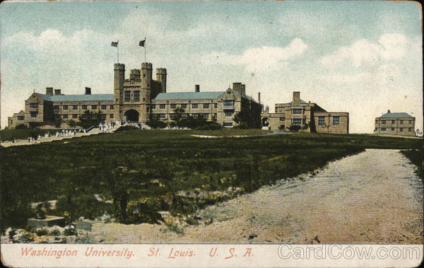 Washington University St. Louis Missouri