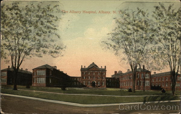 Albany Hospital New York