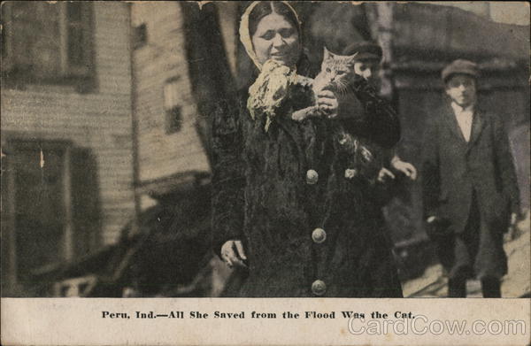 All She Saved from the Flood was the Cat Peru Indiana