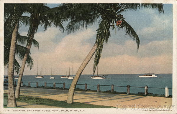Biscayne Bay from Hotel Royal Palm Miami Florida