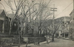 Park Avenue leading to Williams Canon Postcard