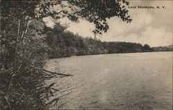 Loch Sheldrake New York Postcard Postcard Postcard