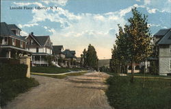 Lincoln Place Liberty, NY Postcard Postcard Postcard