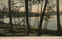 South Shore White Lake, NY Postcard Postcard Postcard