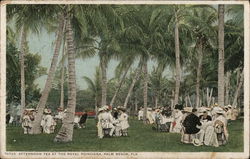 Afternoon Tea at the Royal Poinciana Palm Beach, FL Postcard Postcard Postcard