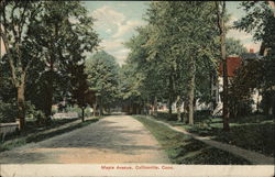 Maple Avenue View Postcard