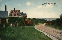 Scene at West Chop Postcard