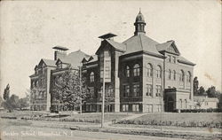 Street View of Berkley School Postcard