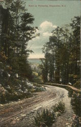 Road Up Palisades Postcard